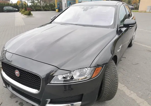 jaguar xf łódzkie Jaguar XF cena 83900 przebieg: 81600, rok produkcji 2016 z Wyśmierzyce